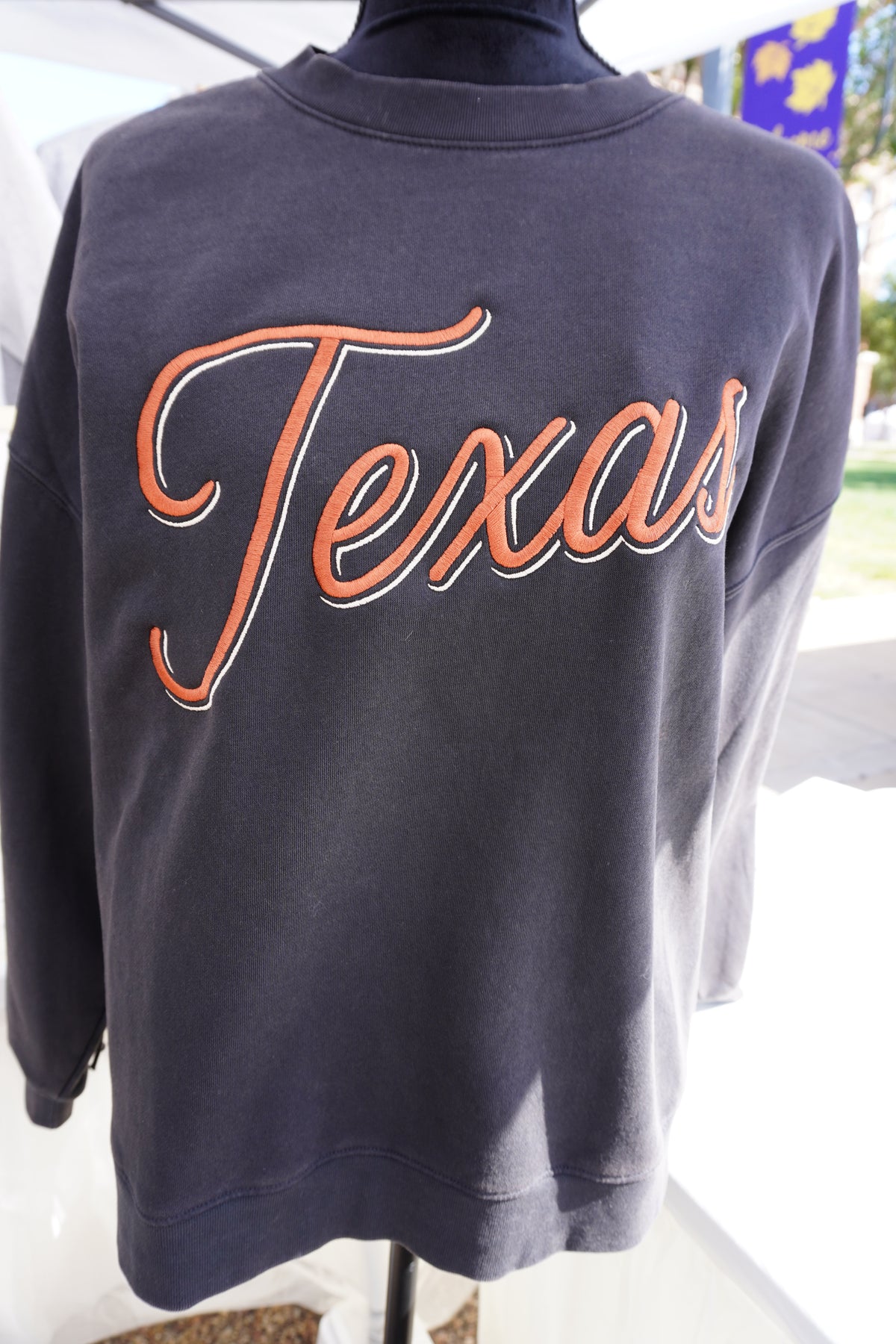 Texas Embroidered Sweatshirt