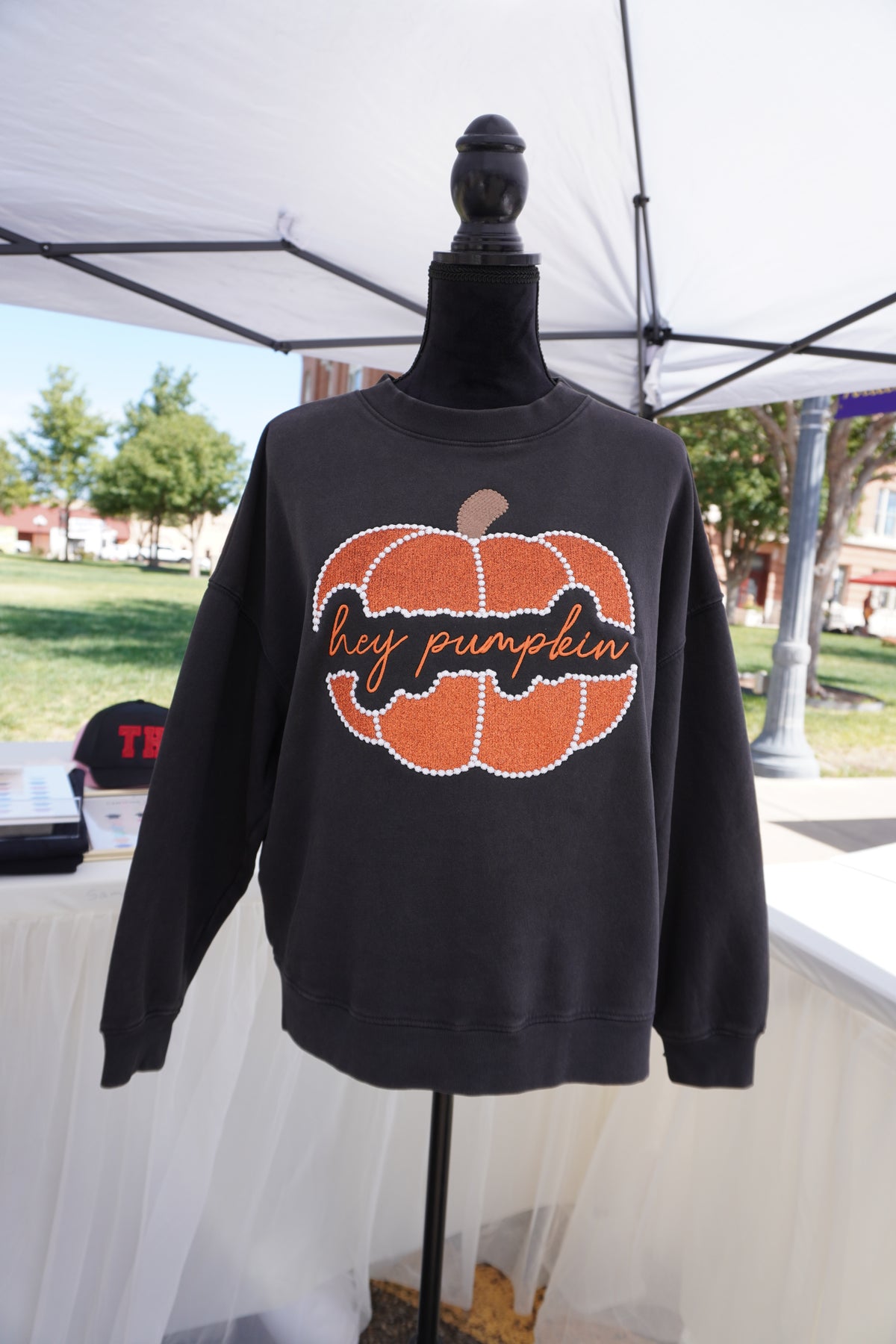 Hey Pumpkin Embroidered Sweatshirt