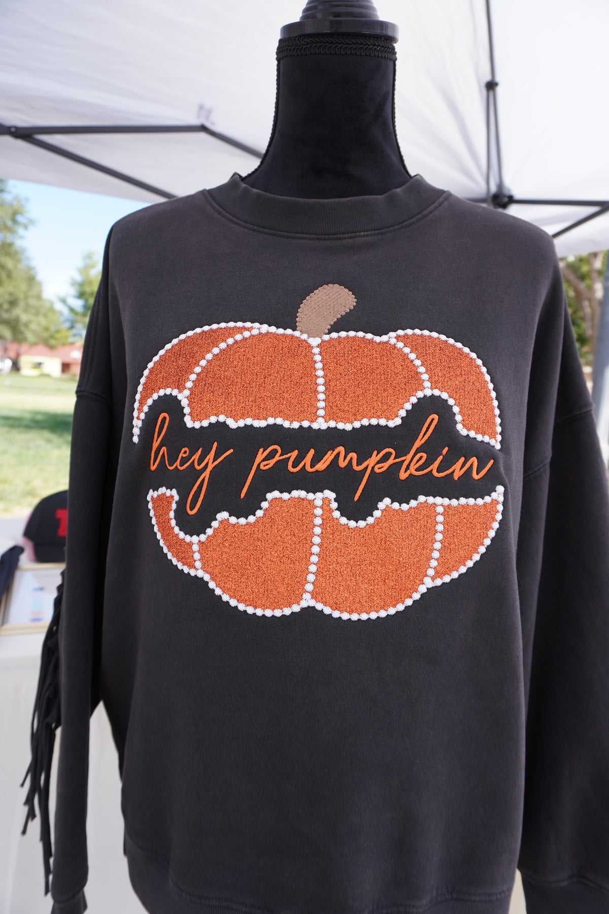 Hey Pumpkin Embroidered Sweatshirt