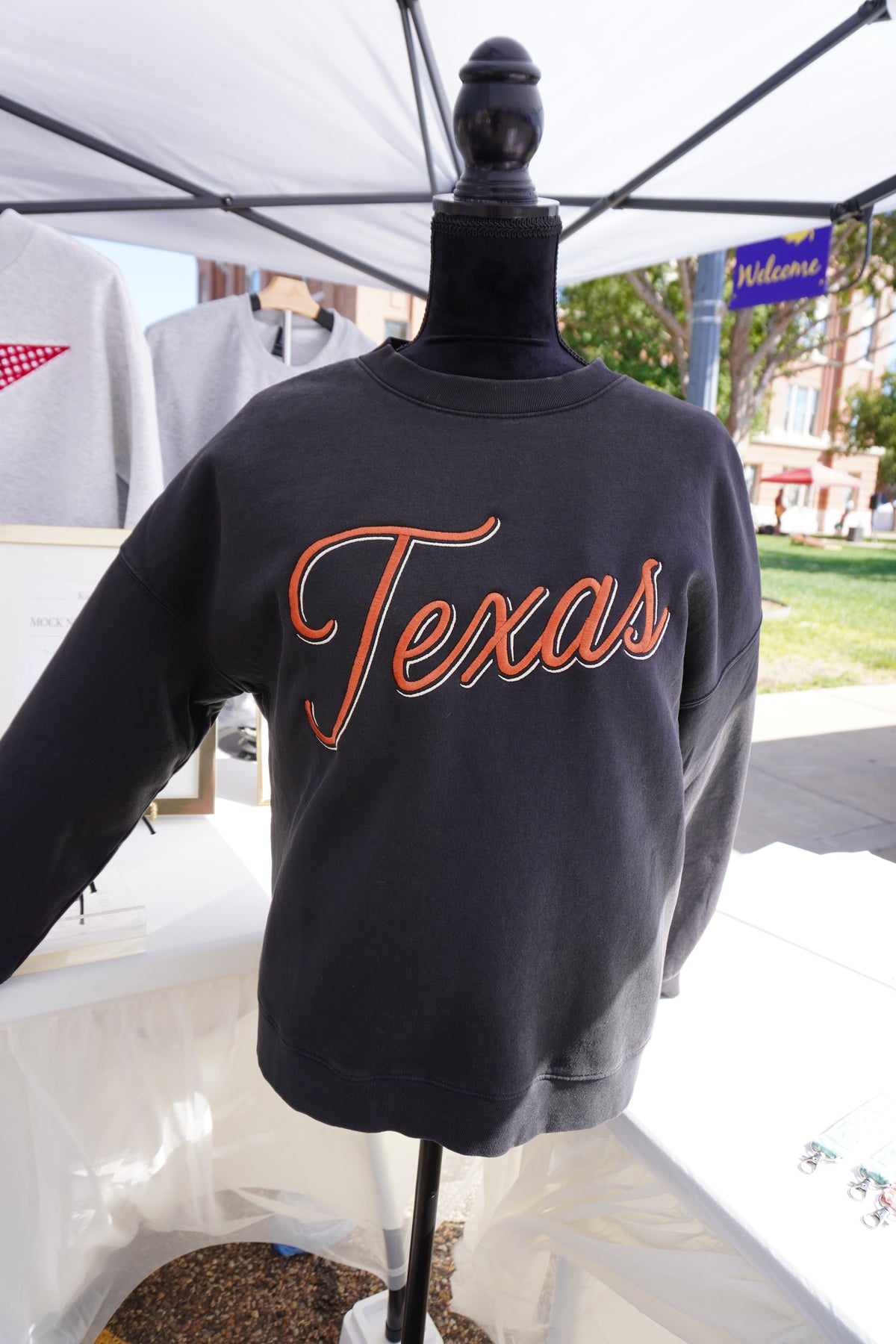 Texas Embroidered Sweatshirt